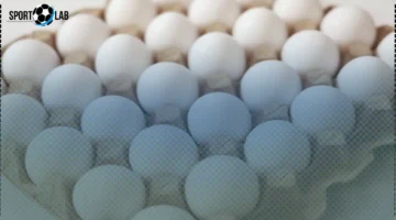 سعر كرتونة البيض في بورصة الدواجن يتغير اليوم الثلاثاء 4-11-2025